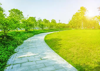 http://www.fzsrh.com